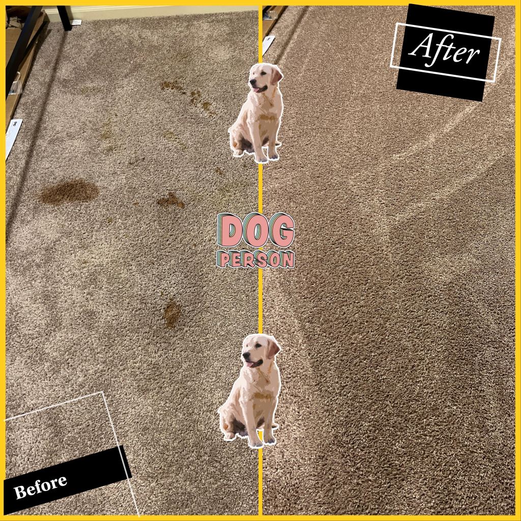 pet stain removal image before and after