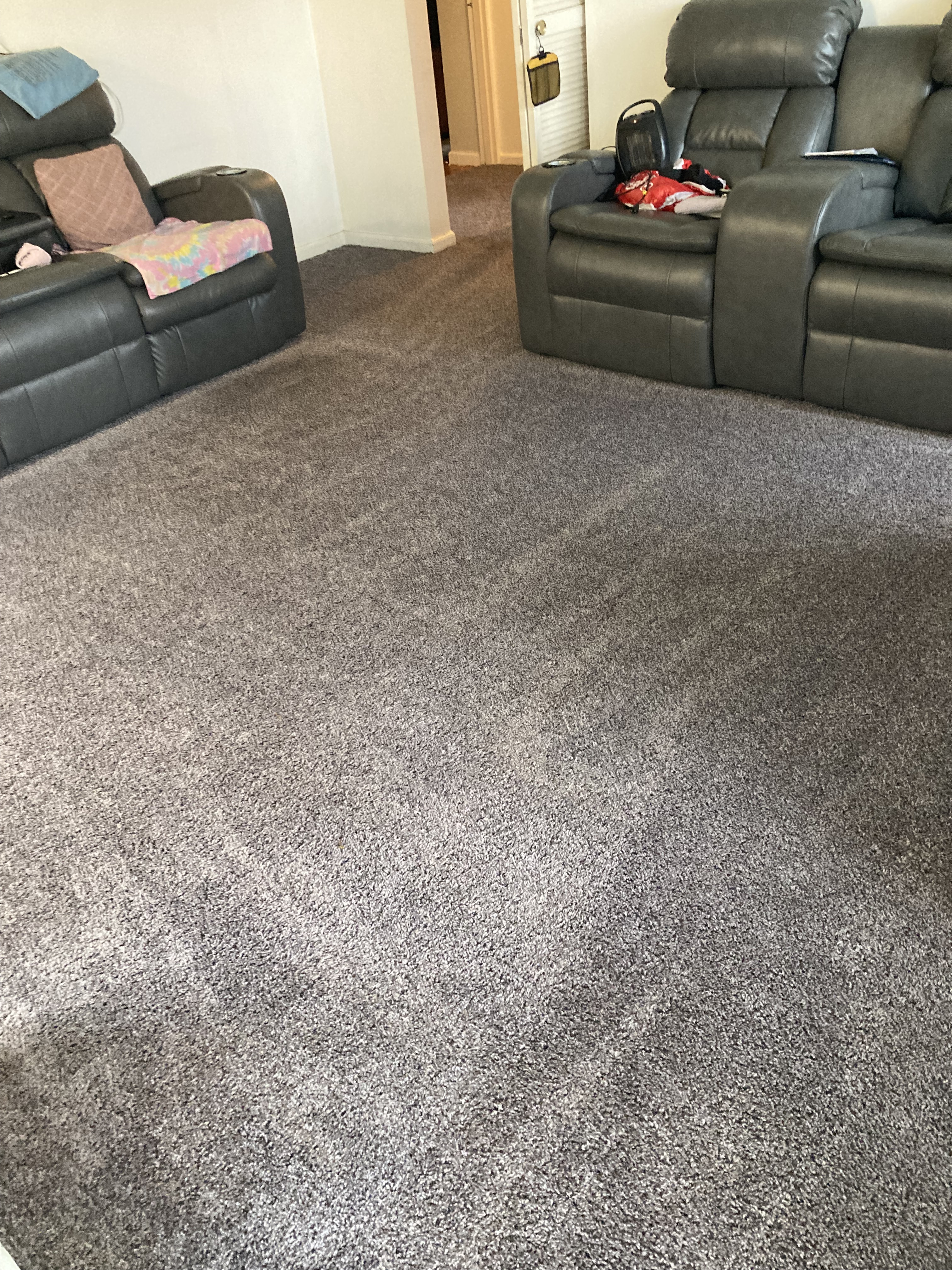 picture of a carpet cleaned living room with sofa and loveseat in the picture