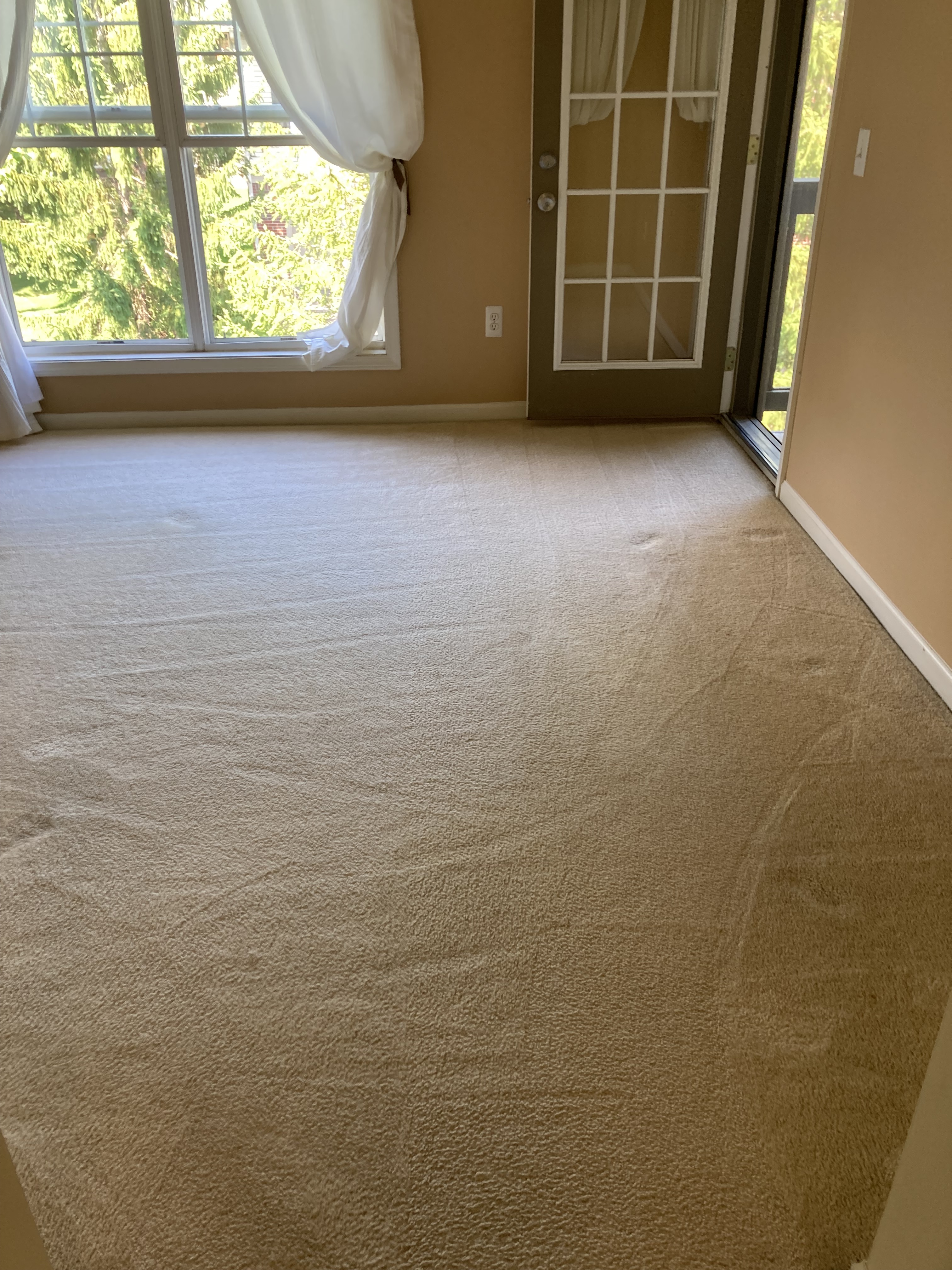 Carpet cleaning of a living room refreshed.